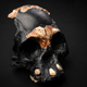 Reconstructed child skull of H. naledi. Dark portions are inferred portions of the skull.